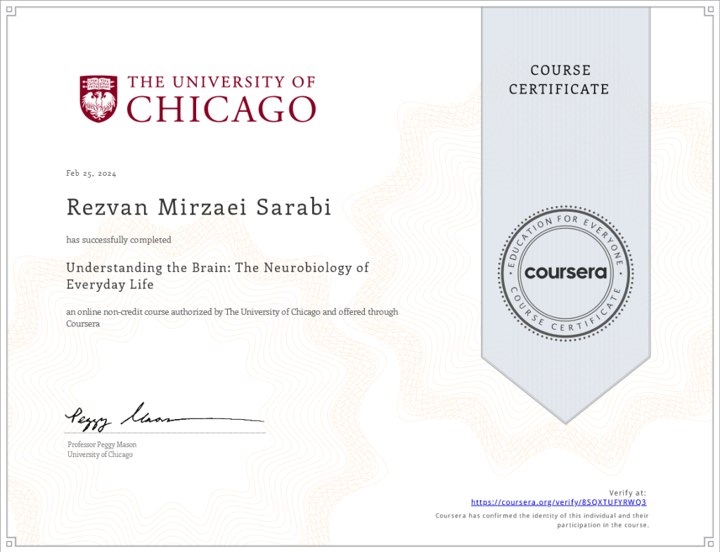 Screenshot 2025-01-11 at 14-44-50 Rezvan_Mirzaei_Sarabi_Understanding_the_Brain_The_Neurobiology_of.pdf
